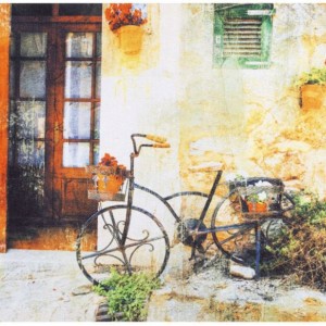 Πατάκι Εισόδου Sdim Gallery 010 Bicycle 45X75