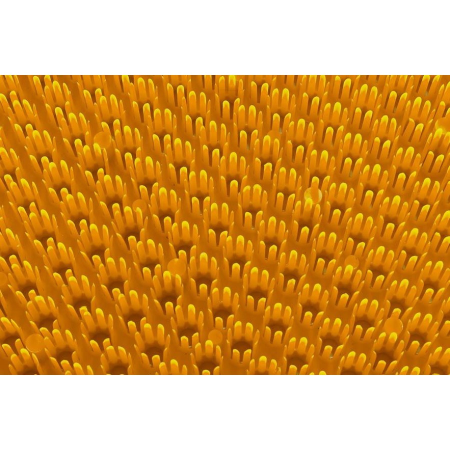 Πατάκι Εισόδου Trendy 099 mandarine 40X60