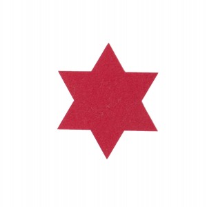 Χριστουγεννιάτικο Σουβερ Felt Star 6Τμχ Red 11X11 Nef-Nef