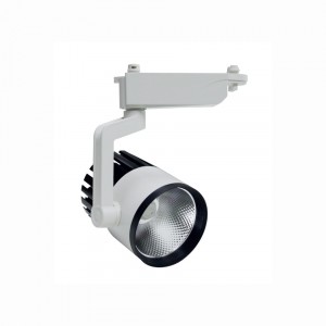 InLight Σποτ Ράγας Λευκό LED 30W 4000K D:10cmX23cm (T00102-WH)