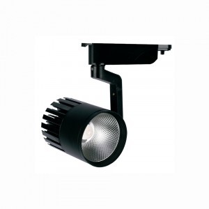 InLight Σποτ Ράγας Μαύρο LED 30W 4000K D:10cmX23cm (T00102-BL)