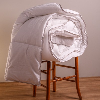 ΠΑΠΛΩΜΑ 260Χ240 MICROFIBER 300 GSM