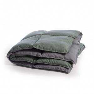 Παπλωμα Mono Bicolor-24 160X220 Green/Grey