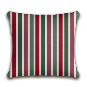 Διακοσμητική μαξιλαροθήκη Pillows Collection AS115 43X43 Palamaiki
