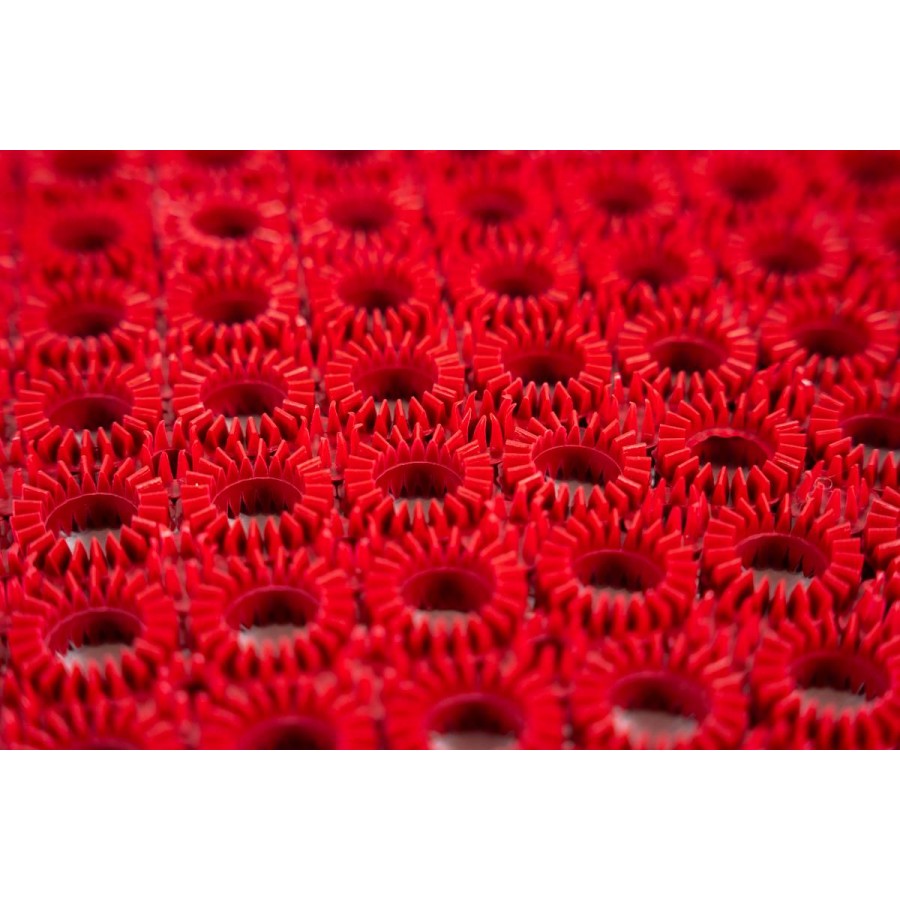 Sdim Πατάκι Εισόδου Lizzy 001 Strawberry 40x60εκ.