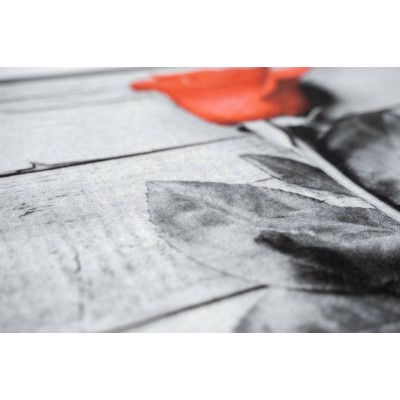 Sdim Πατάκι Εισόδου Μοκέτα με Αντιολισθητικό Υπόστρωμα Image 172 Rose 45x75εκ. Πάχους 6mm