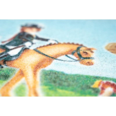 Sdim Πατάκι Εισόδου Playmobil Μοκέτα με Αντιολισθητικό Υπόστρωμα Deco 004 Country 50x80εκ. Πάχους 6mm